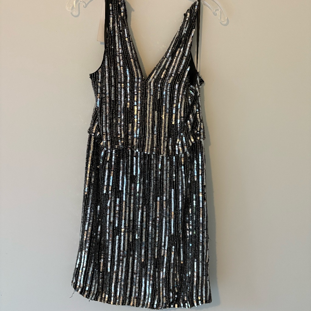 Silver Mini Dress